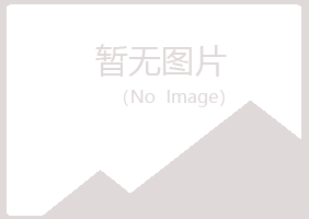 南阳山柳工程有限公司